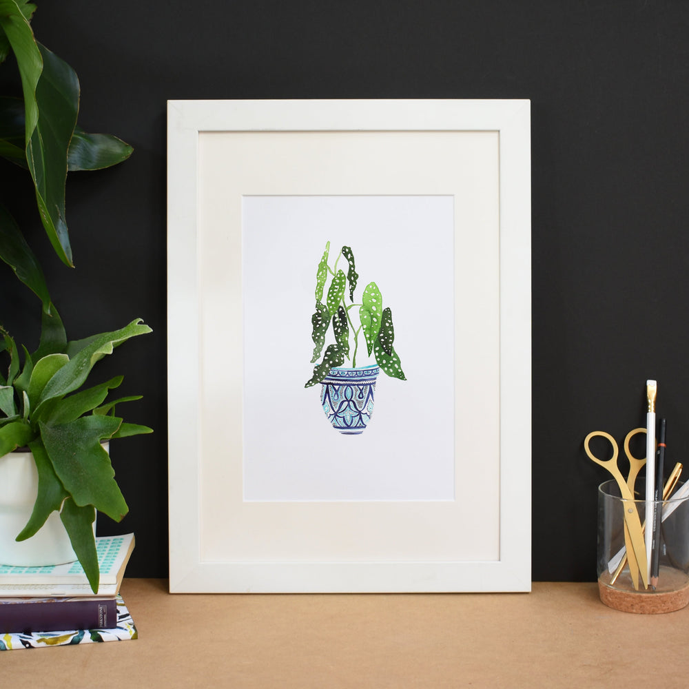 Begonia Maculata Art Print