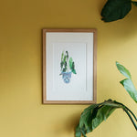 Begonia Maculata Art Print