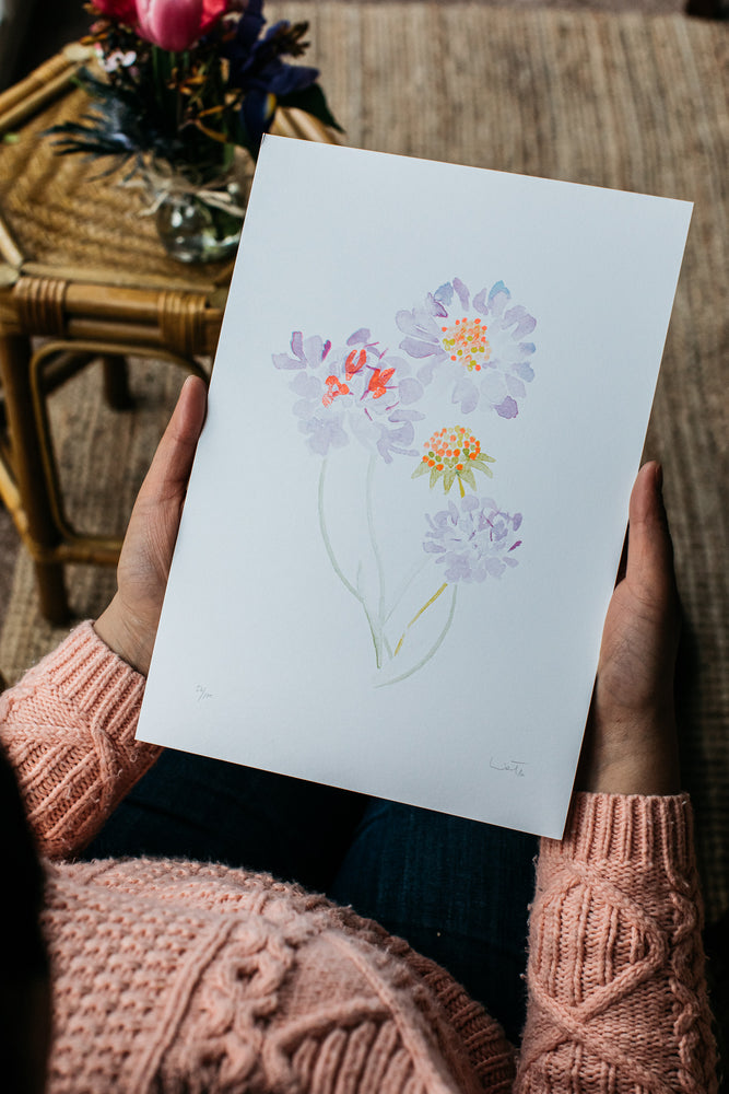 Candytuft Wildflower Art Print