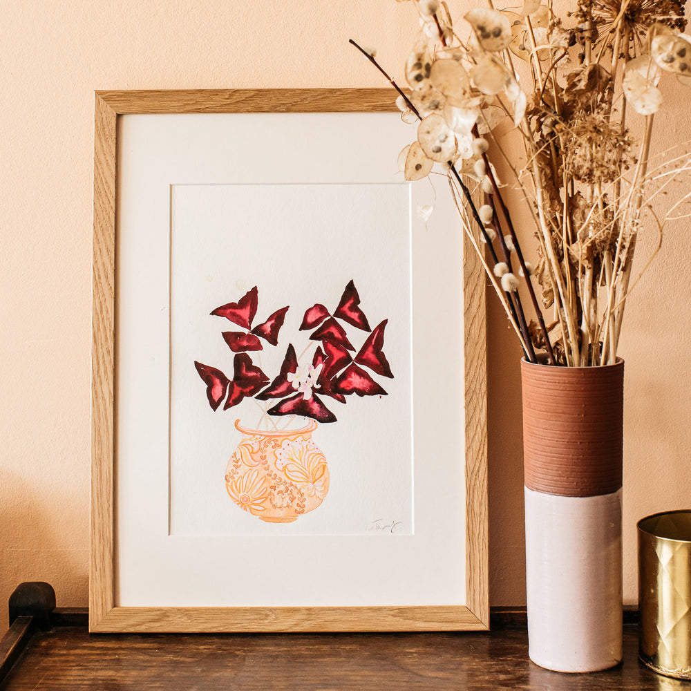 Oxalis in a patterned peach pot Art Print