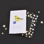The Finch that Stole Christmas Card Pack of Eight