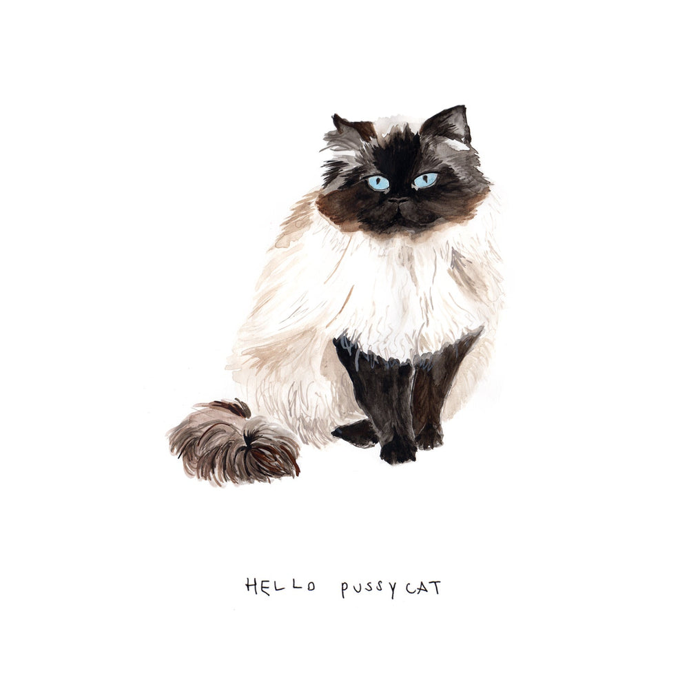 Hello Pussycat Ragdoll Art Print