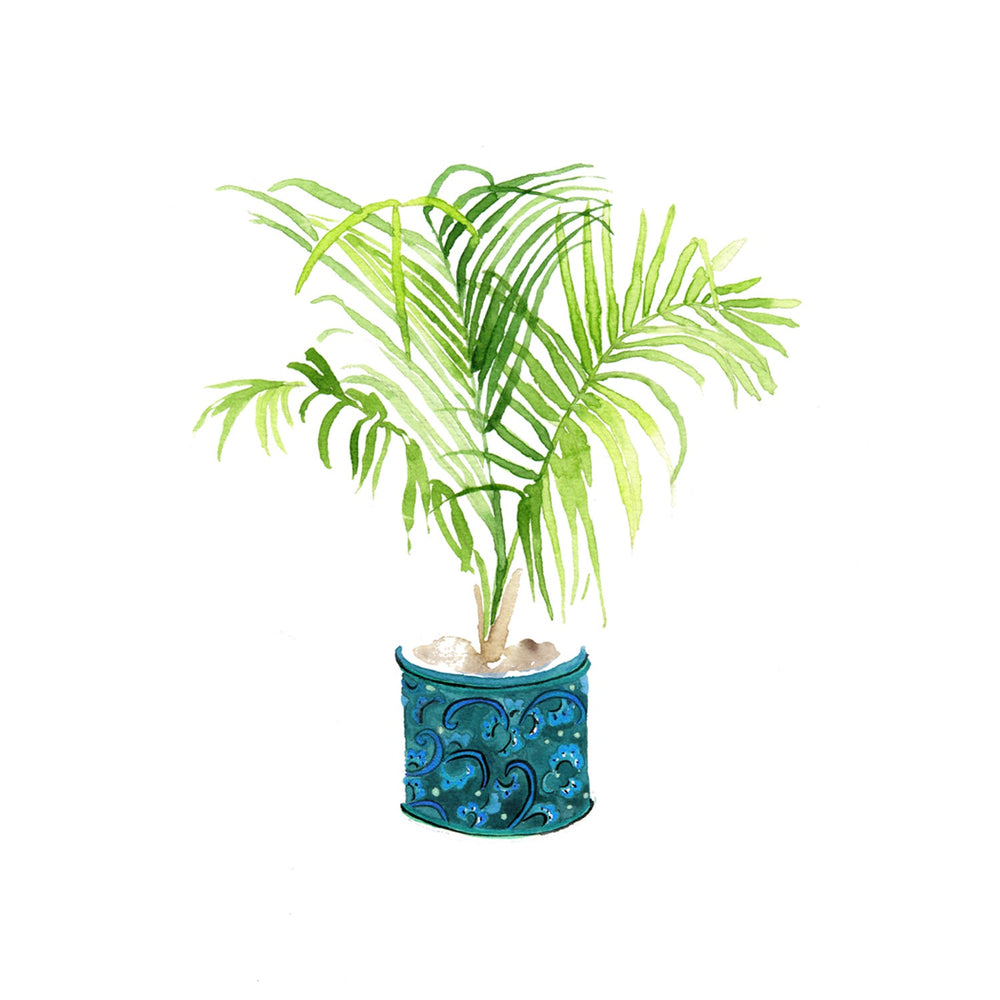 Palm in a turquoise plant pot Art Print