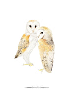 Barn Owl Watercolour Fine Art Print
